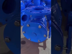 Counter Weight Swing Check Valve PN10-PN16 Cast Iron For Water Distribution Systems
