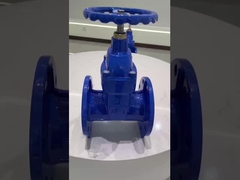 BS5163 Non-rising Stem Metel Seal Gate Valve For Industrial
