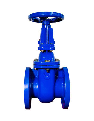 ANSI Rising Stem Metal Seat Gate Valve 50 mm Ductile Iron