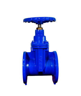 GGG40 GGG50 Oem Gate Valve With Resilient Sealing