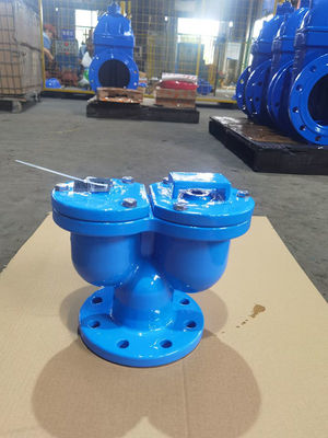 Pipeline Double Orifice Air Release Valve Cast Iron EPDM/SS304/SS316