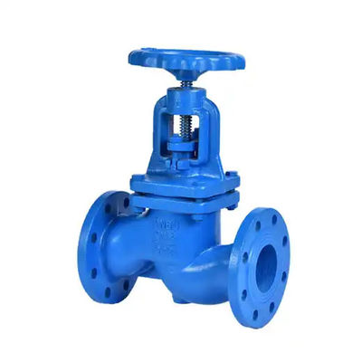 Custom Cast Iron Globe Valve Flanged Type BS5152 MSS SP-70