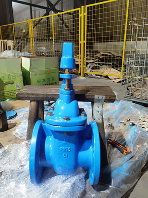 4 Inch Flanged Metal Seat Gate Valve DN100 Customized