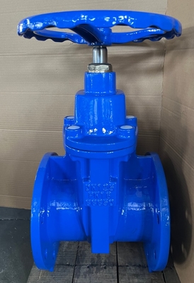 BS5163 Non-rising Stem Soft Seal Gate Valve