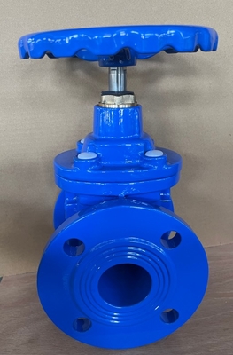 BS5163 Non-rising Stem Soft Seal Gate Valve