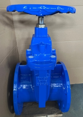 BS5163 Non-rising Stem Soft Seal Gate Valve