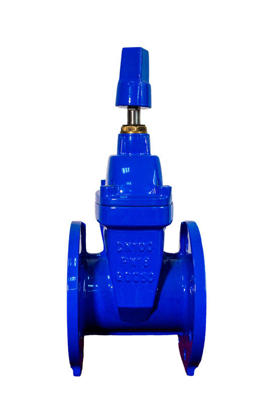 Cast Iron F4 Gate Valve 4 Inch Gland Type ODM