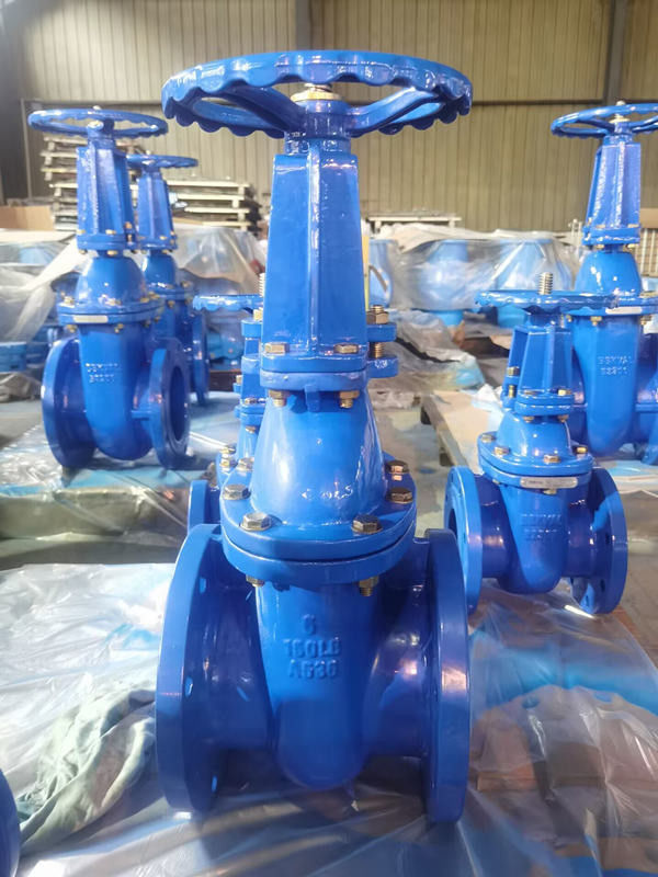 Resilient Wedge Flanged Metal Seat Gate Valve 8" ISO9001 Certificated