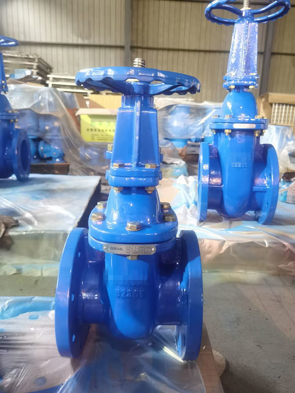 2Inch-12 Inch Gear Gate Valve Underground High Performance