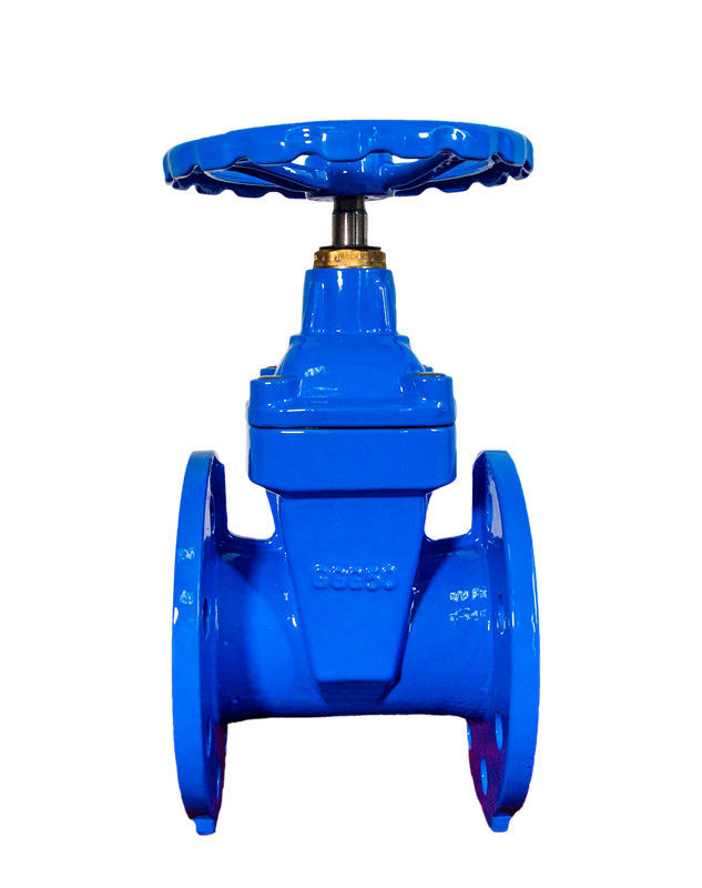 Manual Flanged BS5163 Gate Valve 3 Inch ODM For Industrial