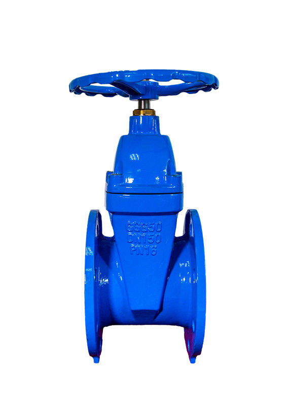 Rising Stem Resilient Seated Valves Sewer Gate Valve F4 CE/ISO Certified