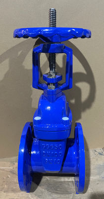 DIN3352-F4 Resilent Soft Seat  Rising Stem Gate Valves